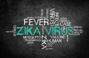 Zikavirus Travel Medicine